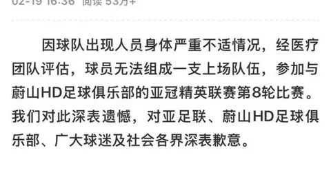 安帅率队友谊赛战平澳洲，年薪千万名帅世界杯16强遗憾告别终极指南解析赛事幕后